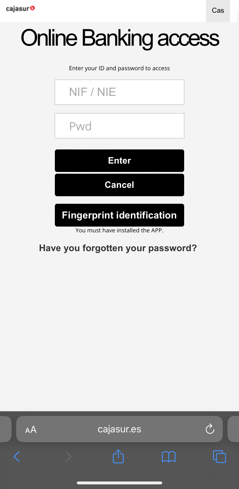 Cajasur Banco business auth